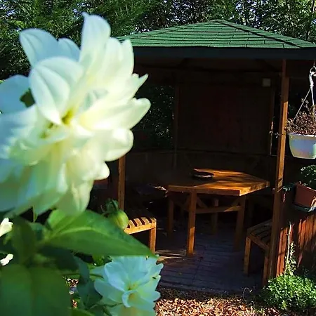 Bed & Breakfast Pollushof Panzio Es Etterem Csolnok