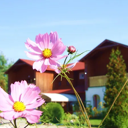 Pollushof Panzio Es Etterem Csolnok